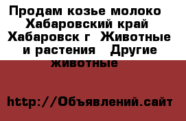 Продам козье молоко - Хабаровский край, Хабаровск г. Животные и растения » Другие животные   